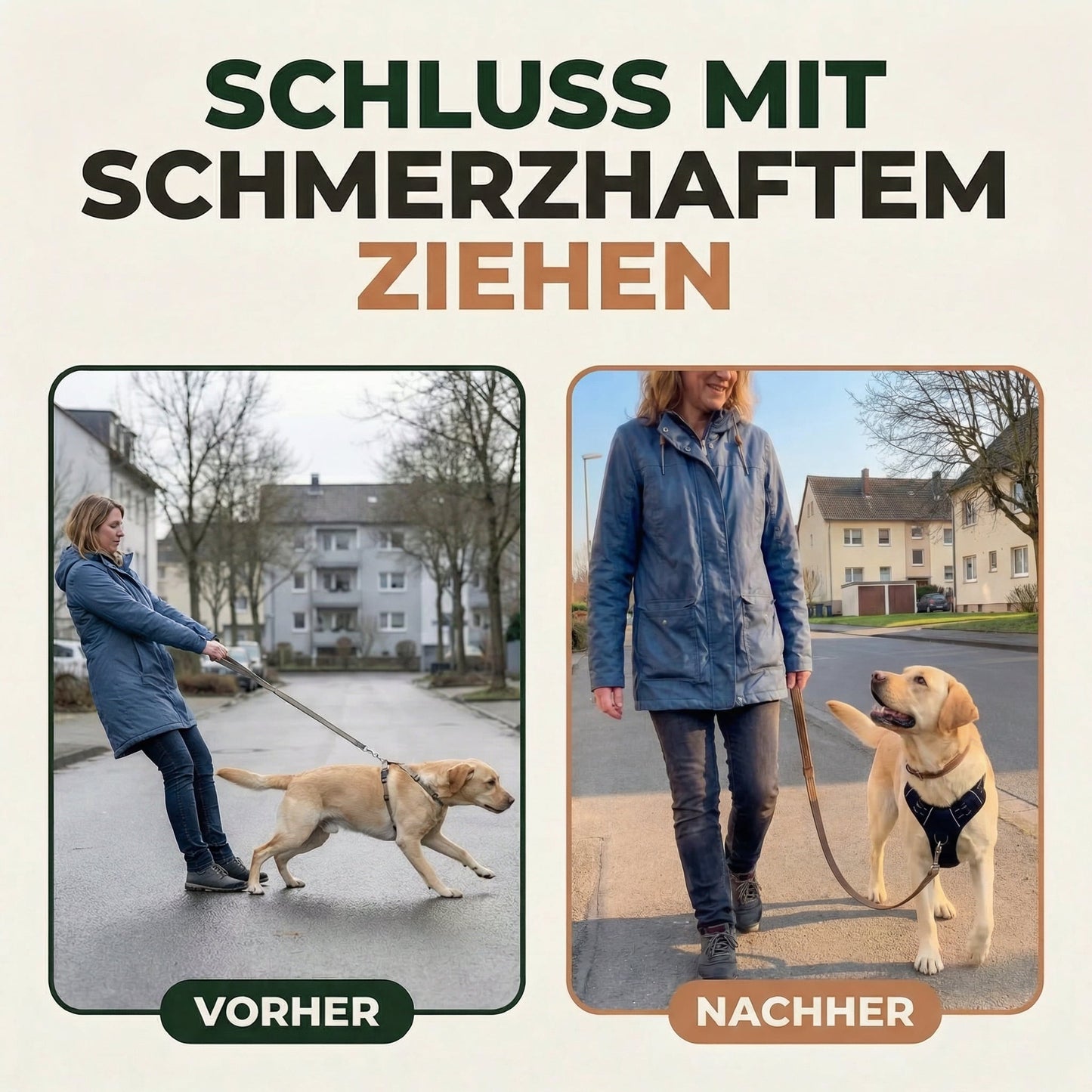 Pawelyy Anti-Zieh-Geschirr