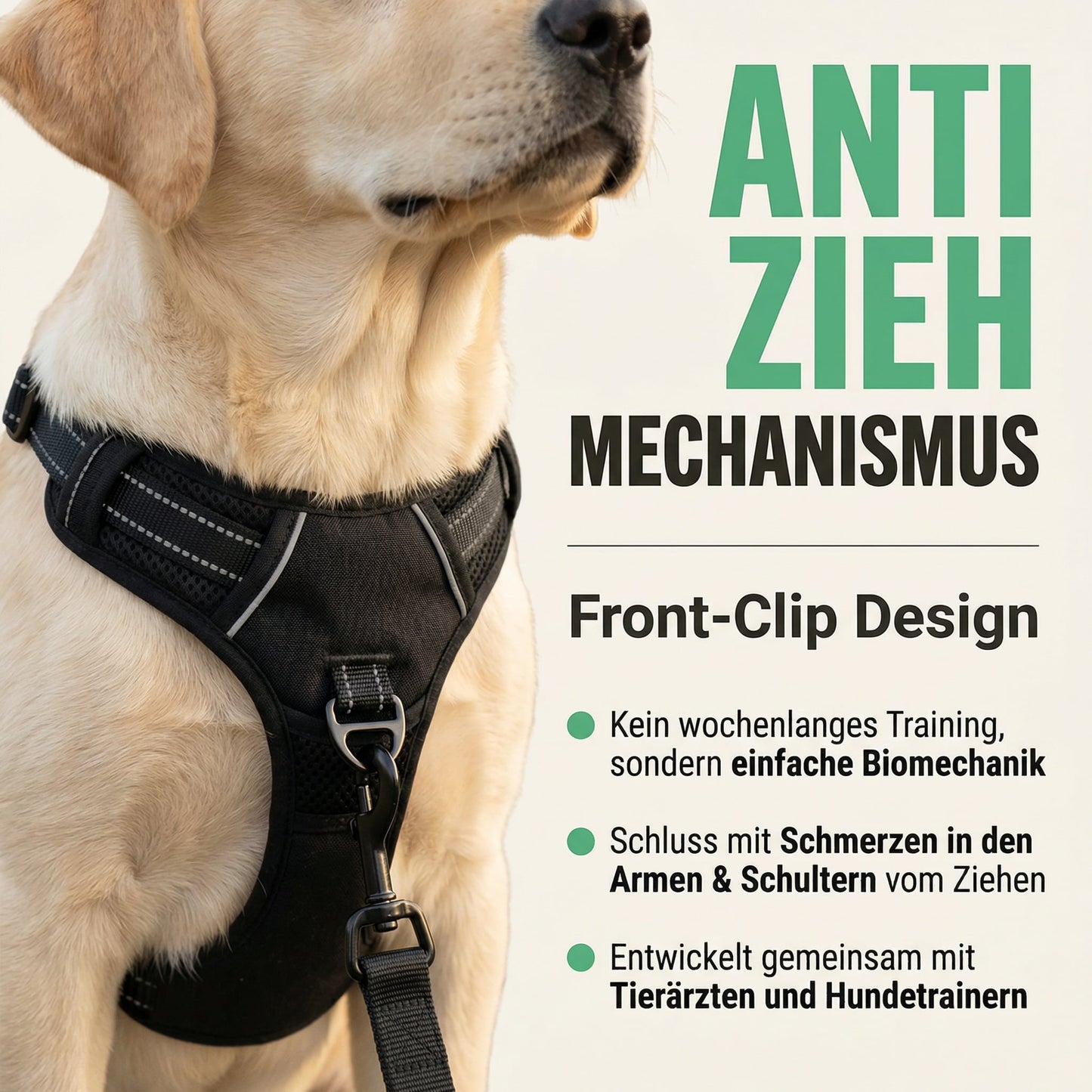 Pawelyy Anti-Zieh-Geschirr