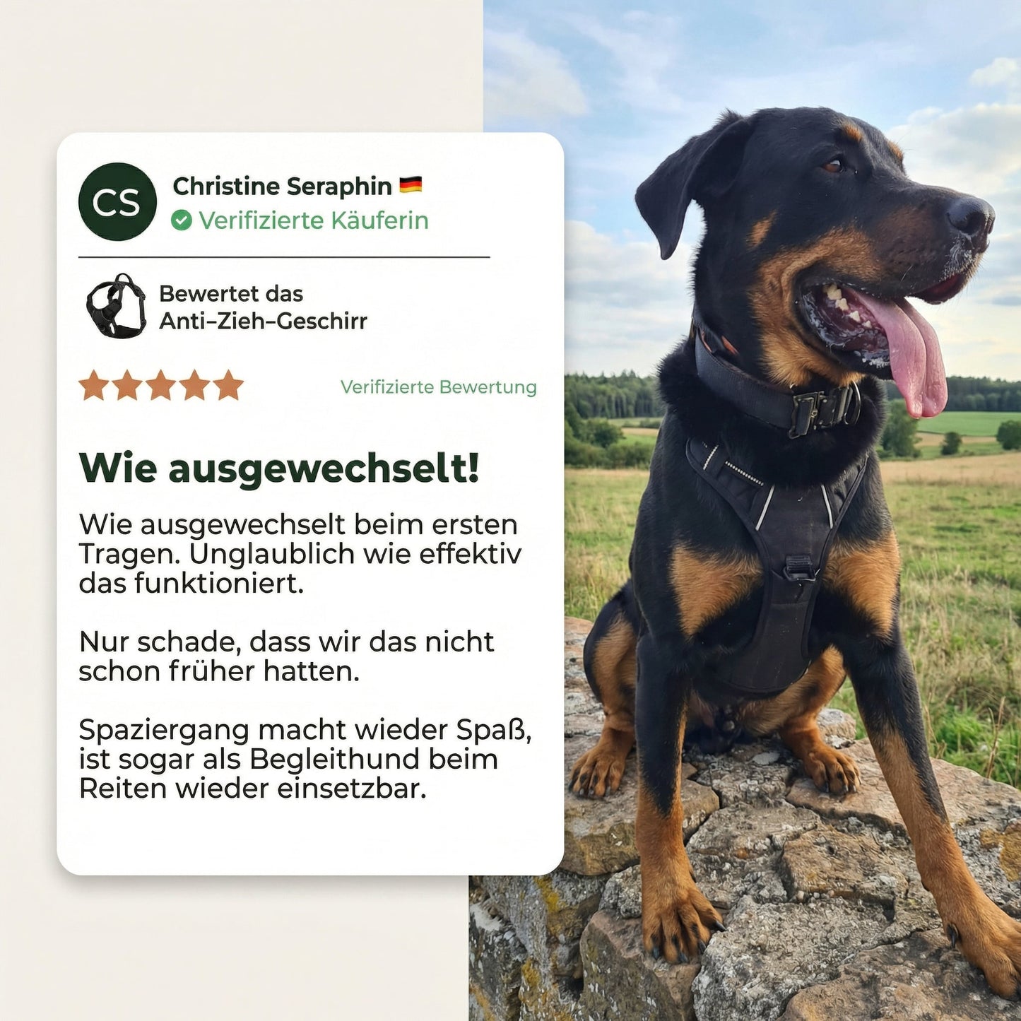 Pawelyy Anti-Zieh-Geschirr