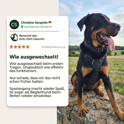 Pawelyy Anti-Zieh-Geschirr