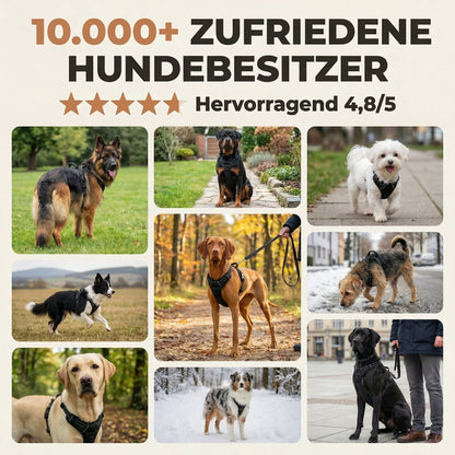 Pawelyy Anti-Zieh-Geschirr