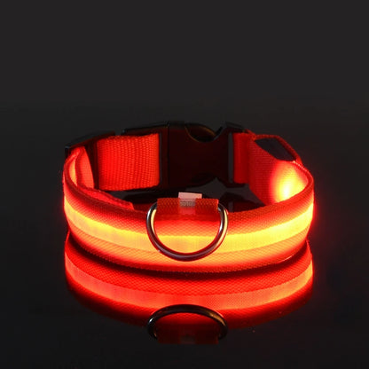 Pawelyy Leucht-Halsband
