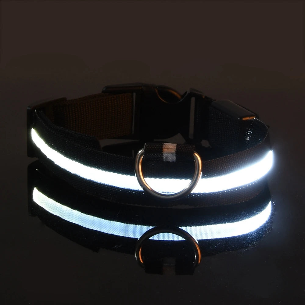 Pawelyy Leucht-Halsband