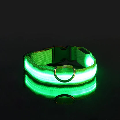 Pawelyy Leucht-Halsband