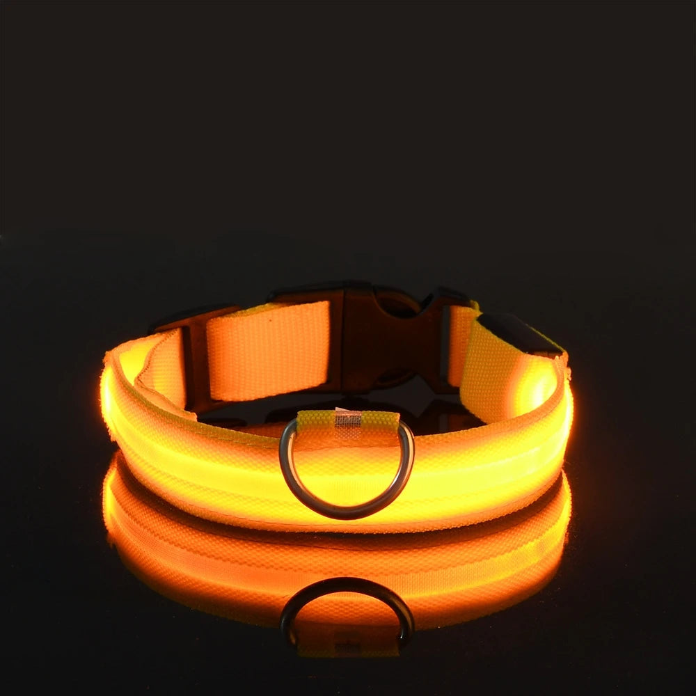 Pawelyy Leucht-Halsband