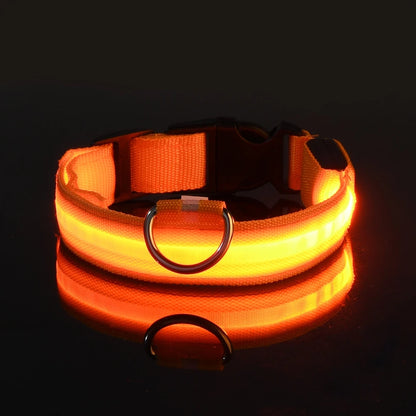 Pawelyy Leucht-Halsband