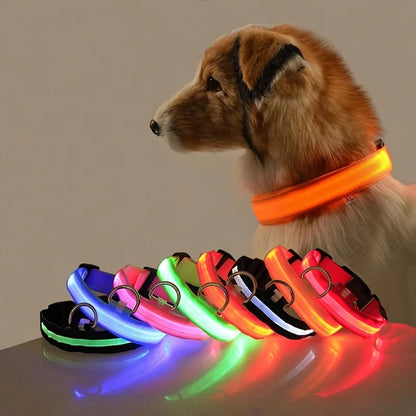 Pawelyy Leucht-Halsband
