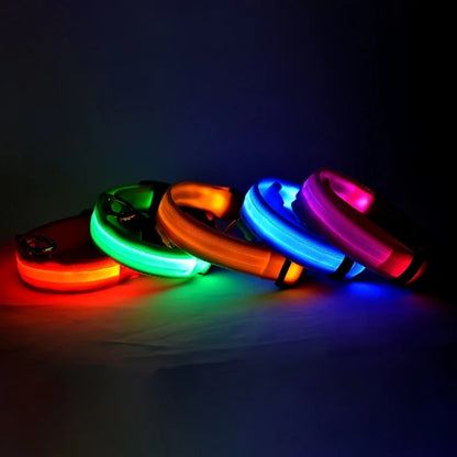 Pawelyy Leucht-Halsband