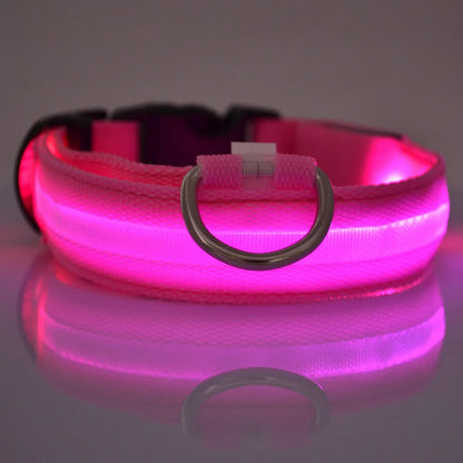 Pawelyy Leucht-Halsband