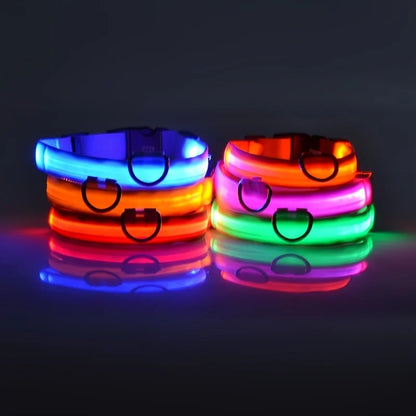 Pawelyy Leucht-Halsband